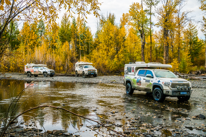 1559187338905562.jpg 20190529137.jpg